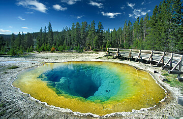 USA: Yellowstone Nationalpark (von Gottfried Bauer)